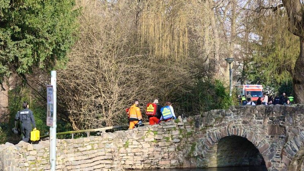 Afghane verhaftet. Mann greift wehrlose Menschen im Park an – zwei Tote