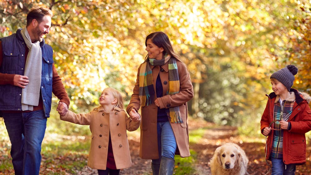 Sujet tabou. Qu'ils l’avouent ou non, les parents ont un enfant préféré
