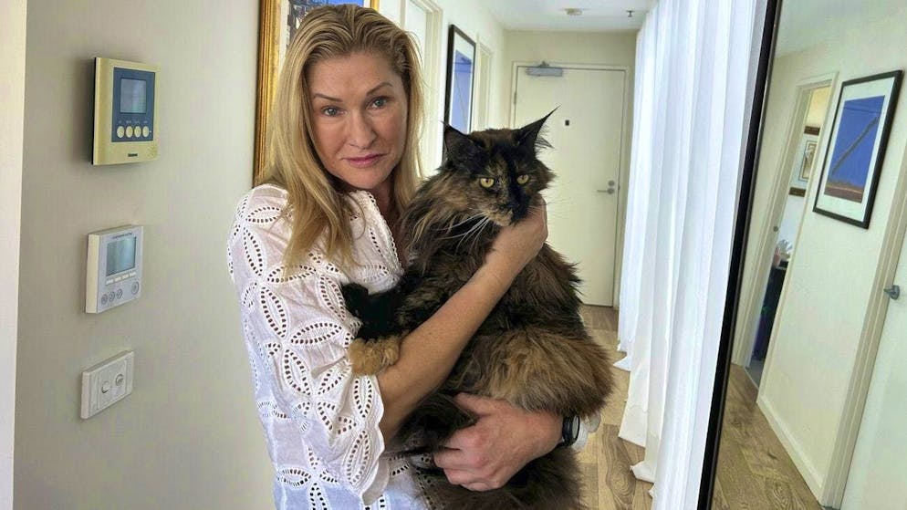 Mittens had to fly back and forth between New Zealand and Australia three times before she could snuggle up in the arms of owner Margo Neas.