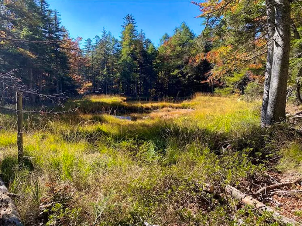 La Torbiera di Visletto