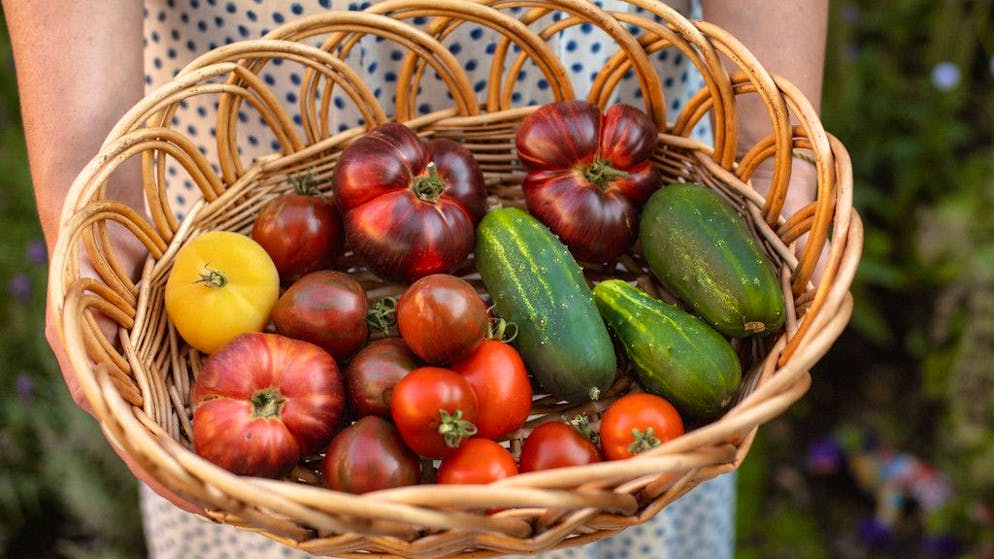 Alimenti che aiutano la fertilità. Ecco cosa mangiare per prendersi cura della salute riproduttiva