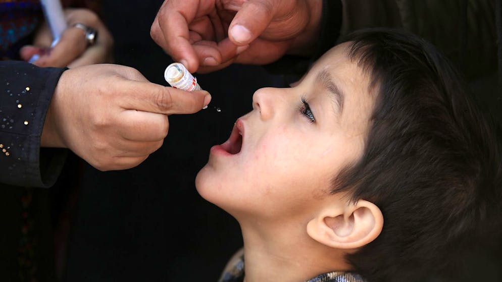 Nicht oder nicht vollständig geimpfte Menschen können sich nach RKI-Angaben mit vom Schluckimpfstoff abgeleiteten Polioviren infizieren und in seltenen Fällen an Kinderlähmung erkranken.(Archivbild)