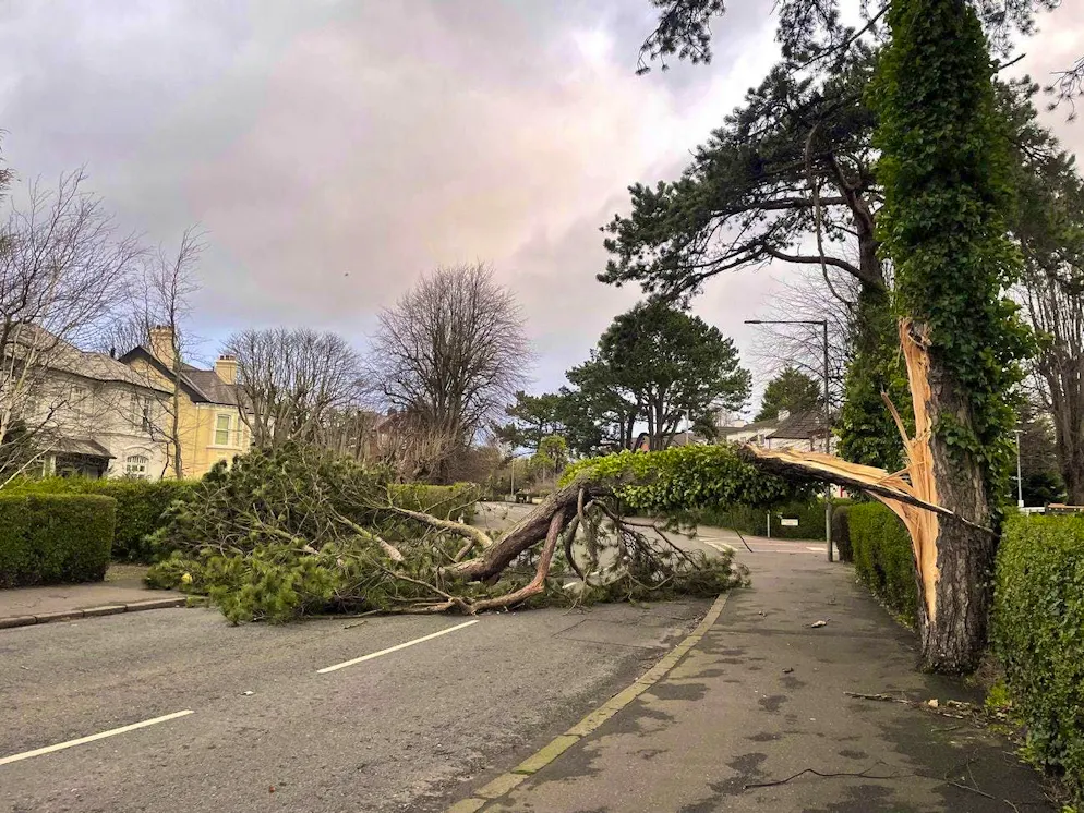 The storm also hits Northern Ireland, which belongs to Great Britain - here near Belfast.