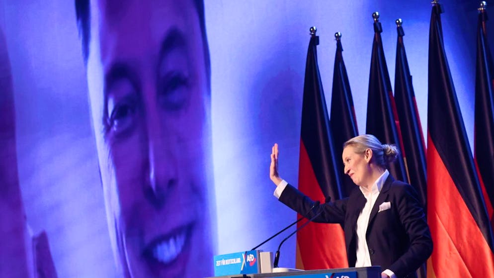 Alice Weidel parla online con Elon Musk.