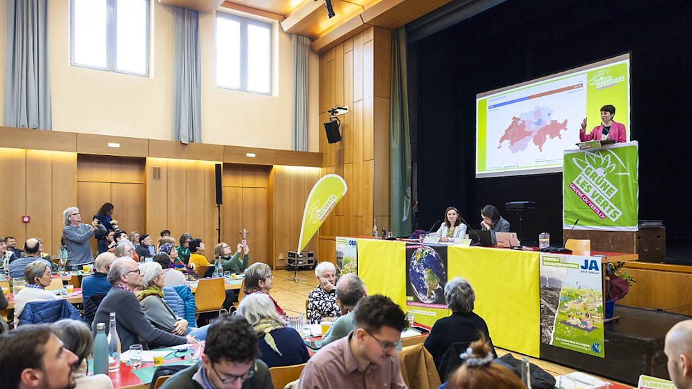 La presidente dei Verdi Lisa Mazzone ha duramente criticato la politica climatica del governo.