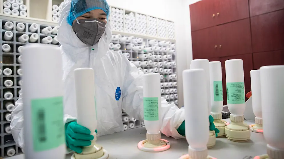 Un incidente di laboratorio sarebbe all'origine della pandemia da coronavirus. (Foto simbolica)
