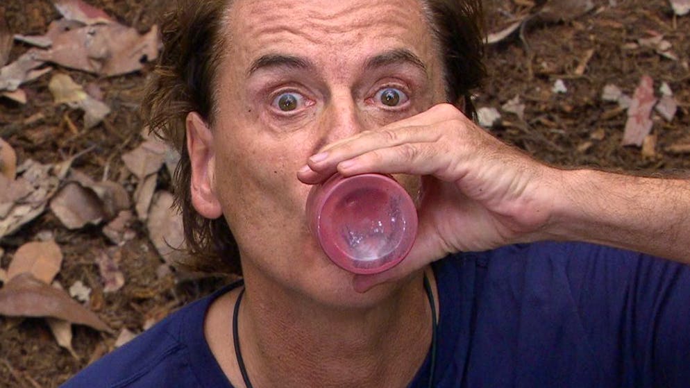 Startschuss im Dschungelcamp: Bei Ziegenaugen wird schon gewürgt. Augen auf und durch! Jörg gönnte sich einen Schoppen Kuhblut von der Leber und holte den dritten Stern für die Camper. Dabei blieb's.