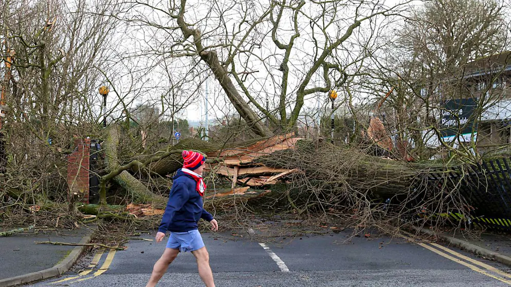 Ein umgestürzter Baum blockiert eine Straße. Irland und Großbritannien haben eine unruhige Nacht hinter sich. Foto: Uncredited/AP/dpa