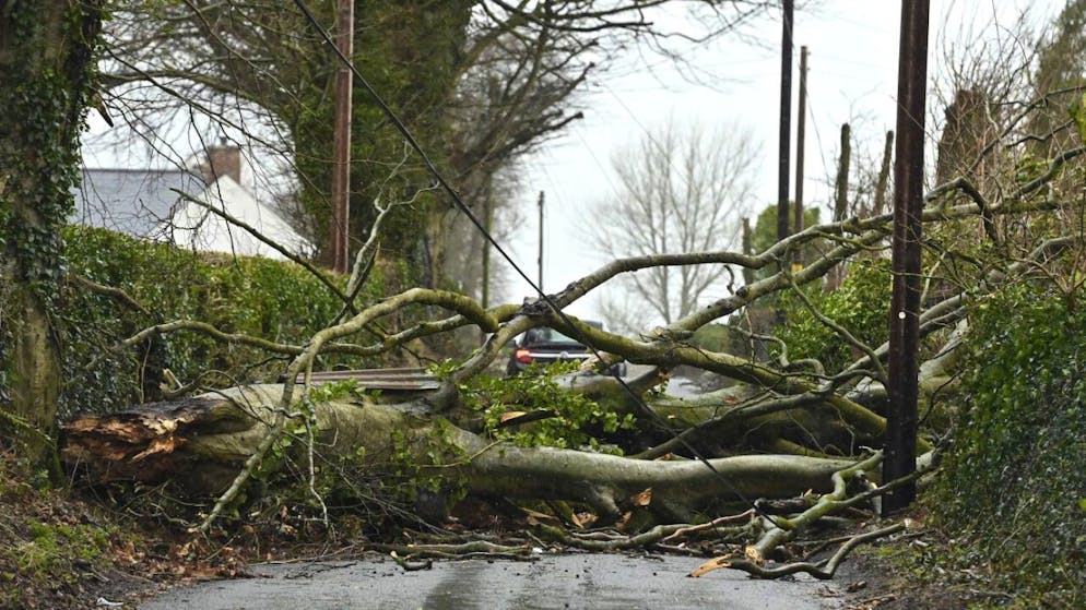 Tempête Eowyn. Des milliers de foyers privés d'électricité en Irlande