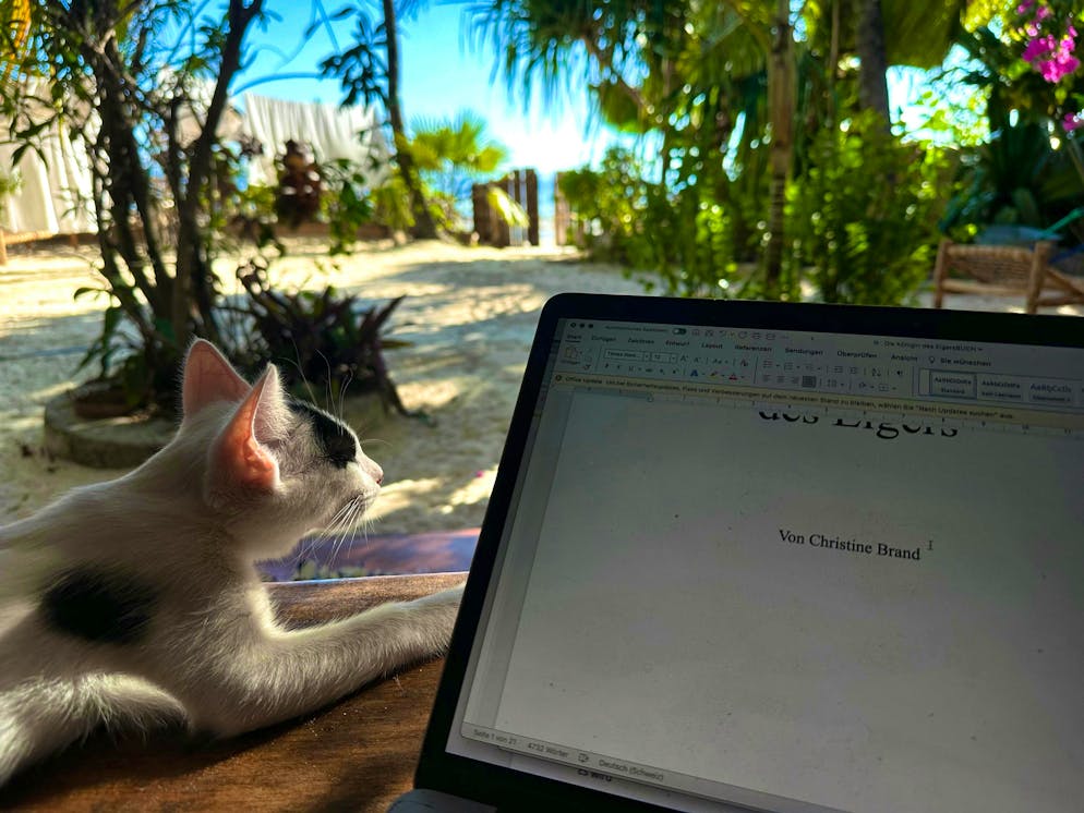 Swiss author writes in paradise: Christine Brand lives in Zanzibar in winter. And then again she writes with her feet in the sand.