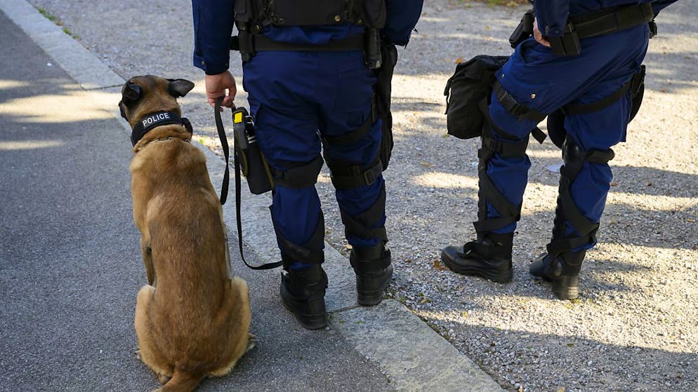 Forze dell'ordine durante il processo di primo grado