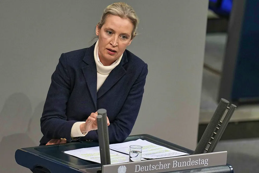 Migration vote leads to scandal - AfD celebrates - Gallery. The AfD leader, Alice Weidel, also attacked CDU/CSU parliamentary group leader Friedrich Merz during the debate.
