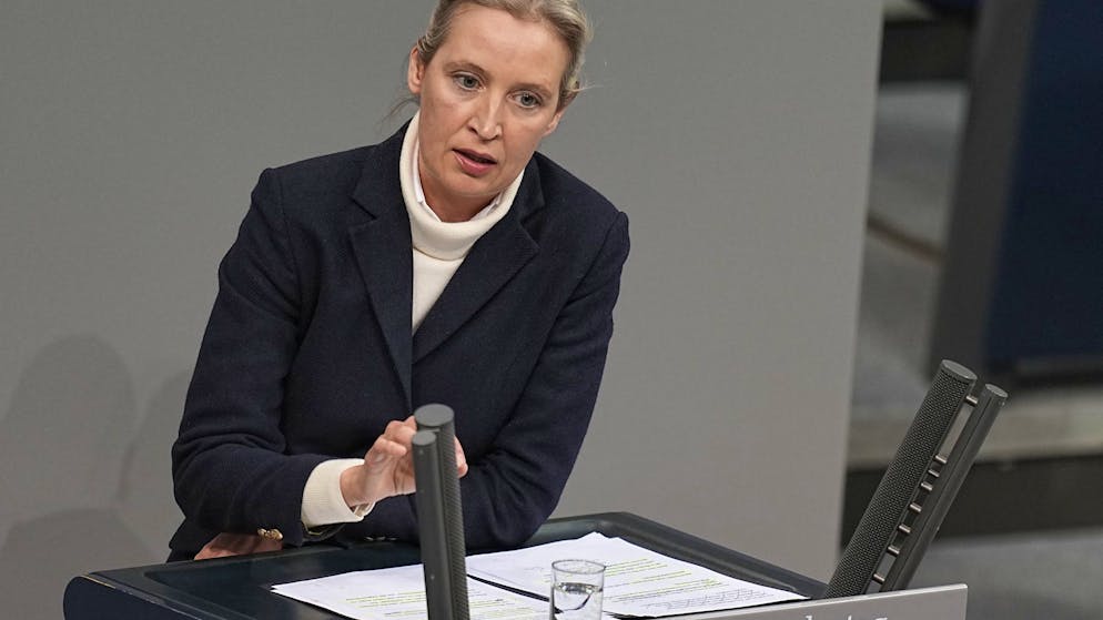AfD-Weidel schiesst gegen Grüne. «Gehen Sie arbeiten, Sie haben bald genug Zeit dafür»