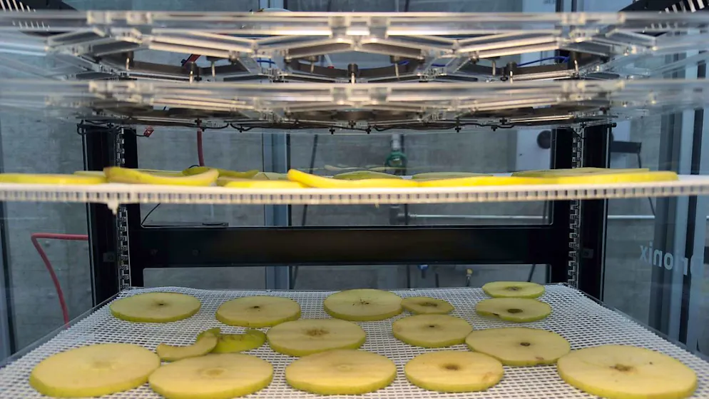 Die Technologie des Empa-Spin-offs "Ionic Wind Technologies" hat sich so weit entwickelt, dass Ionenwind künftig nicht mehr zur Trocknung von Früchten, sondern zur Kühlung von Datenzentren eingesetzt werden soll.