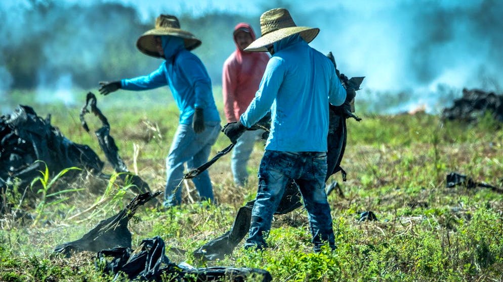 Fehlt es den USA bald an Arbeitskraft? Im Bild: Landarbeiter in Homestead, Florida.