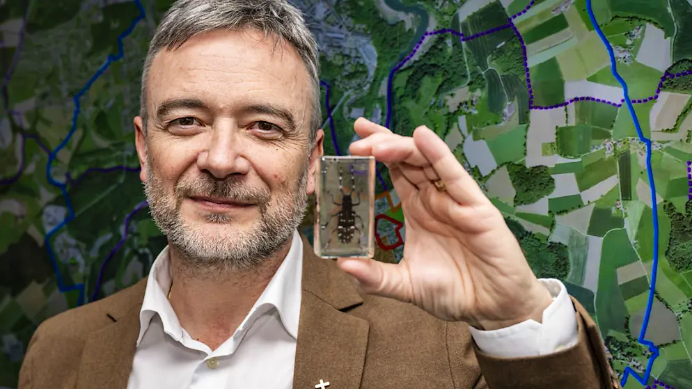 Dominique Schaller, chef du Service des forêts et de la nature du canton de Fribourg, pose avec un capricorne asiatique lors du point presse organisé à Marly.
