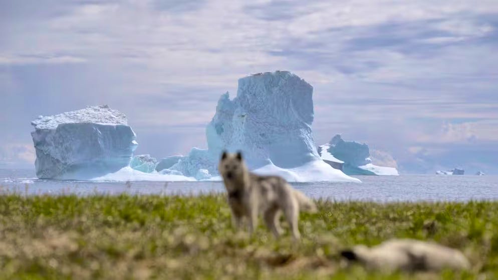 Greenland deal. Almost half of Danes see the USA as a major threat