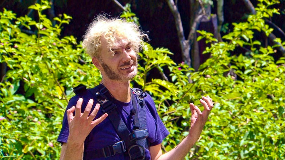 "I wanted it this way": Sam Dylan after his failed jungle camp exam. But at least he gave it his best shot.