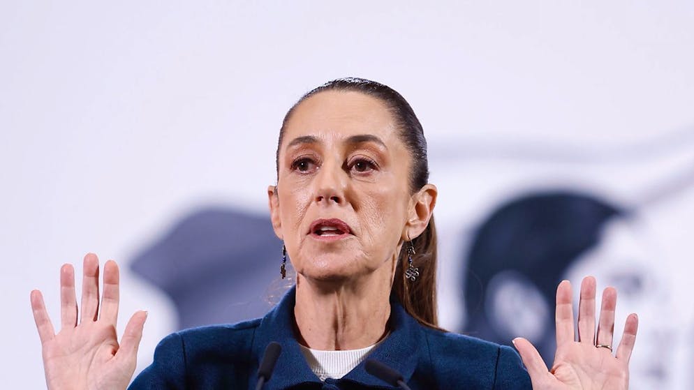 USA. Trump ha accettato di sospendere i dazi con il Messico per 1 mese, in cambio del rinforzo militare al confine