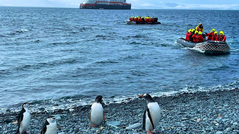 Influencers in the eternal ice: is Antarctica becoming a mass destination? - Gallery. Are the penguins stressed because of the many visitors? Opinions differ on this.