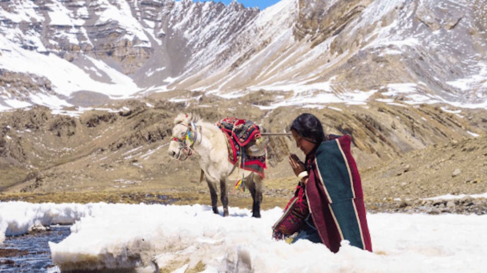 En cherchant son premier mari à travers l'Himalaya, Pema va finir par se trouver elle-même.
