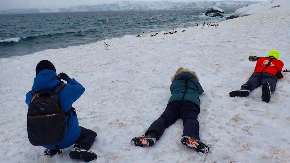 Influencers in the eternal ice: is Antarctica becoming a mass destination? - Gallery. Getting up close and personal with penguins appeals to most tourists.