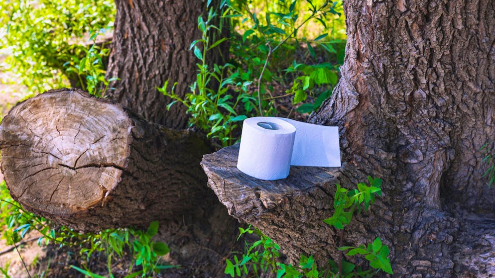 Paper towels with human excrement on the side of the road have been stinking up the Aargau municipality of Villigen for months. (symbolic image)