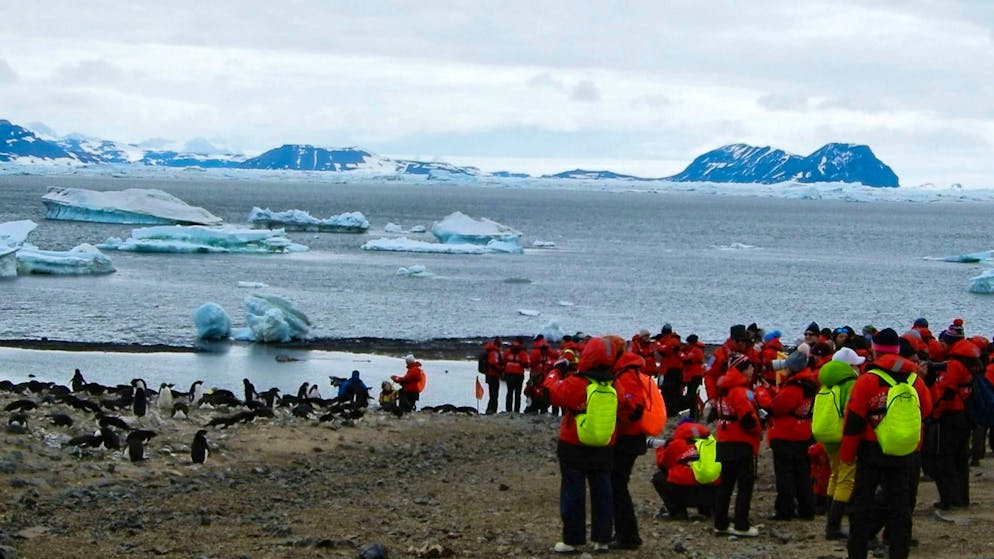 Influencers in the eternal ice: is Antarctica becoming a mass destination? - Gallery. How close is too close? Experts are asking themselves this question when it comes to the penguin colonies in Antarctica and tourists.
