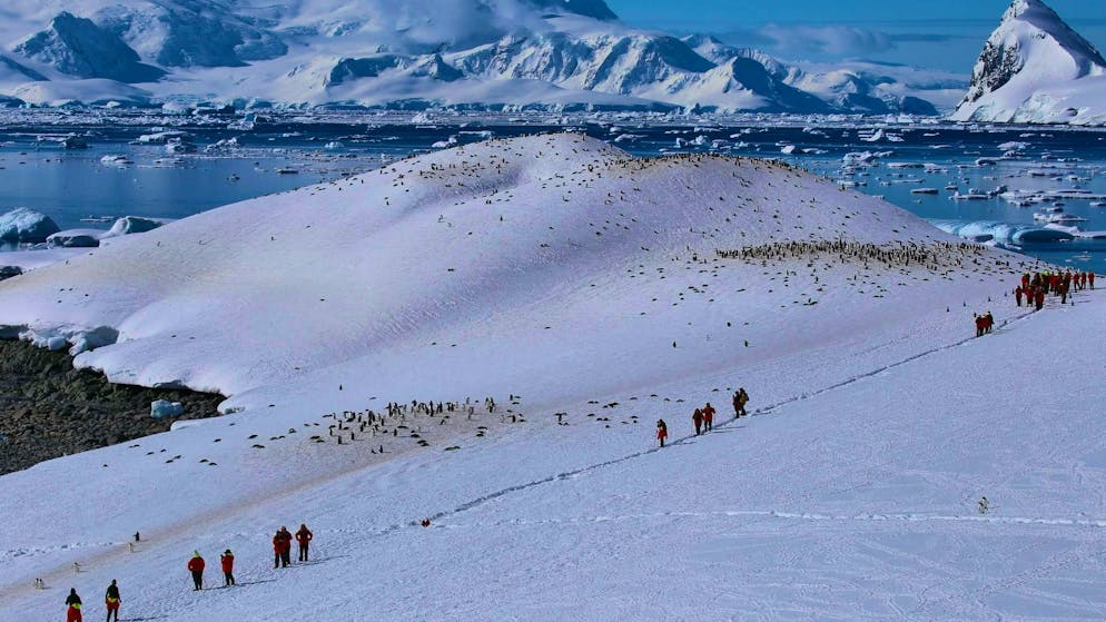 Influencers in the eternal ice: is Antarctica becoming a mass destination? - Gallery. Some experts say that tourism in Antarctica needs to be more strictly regulated.