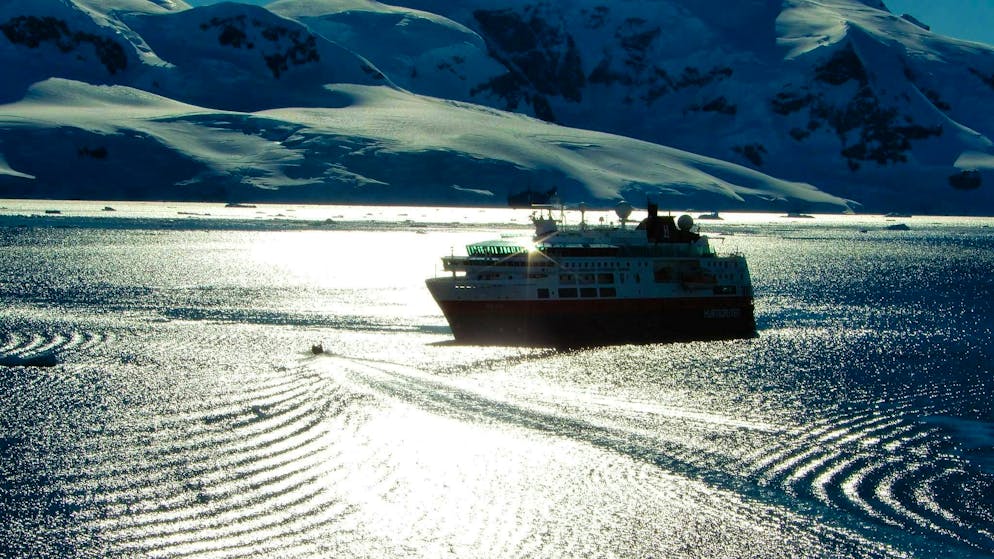 Influencers in the eternal ice: is Antarctica becoming a mass destination? - Gallery. Ships now travel to the Southern Ocean for all interests and inclinations.