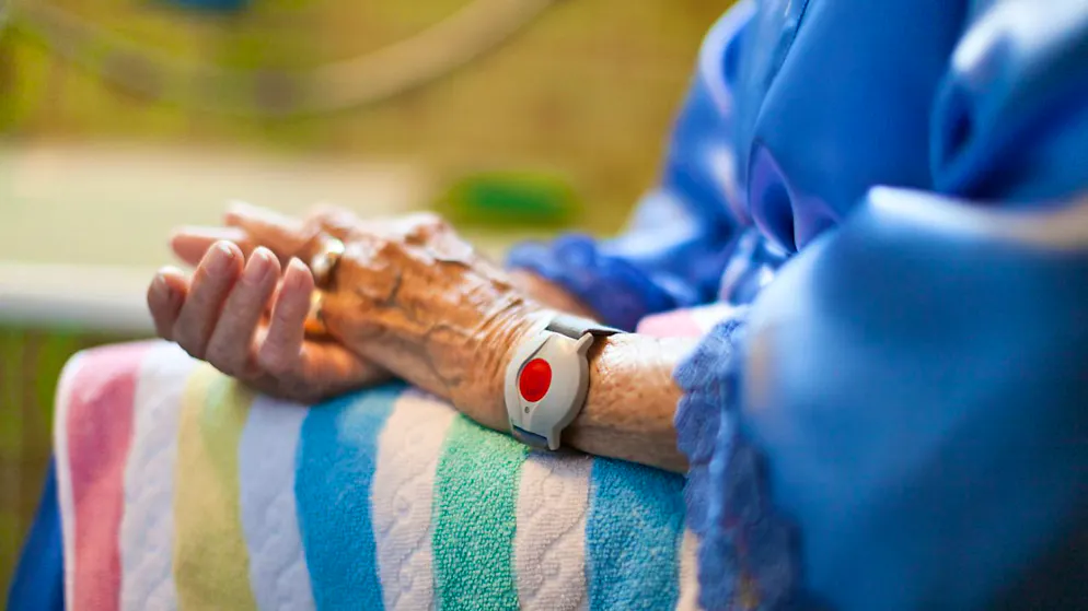 Omega-3-Fettsäuren haben laut einer Studie einen Verjüngungseffekt. (Archivbild)