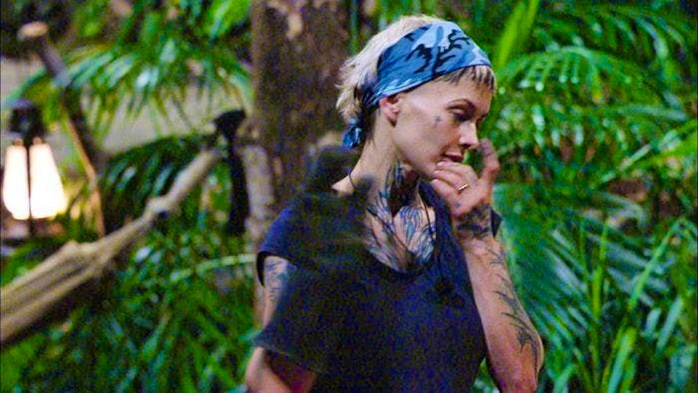 Day 11 in the jungle camp. Edith Stehfest received the fewest calls from viewers on Monday.