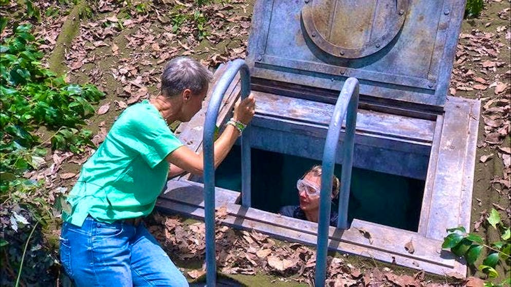 Day 11 in the jungle camp. However, the pop singer is afraid of confined spaces and doesn't dare to dive down.