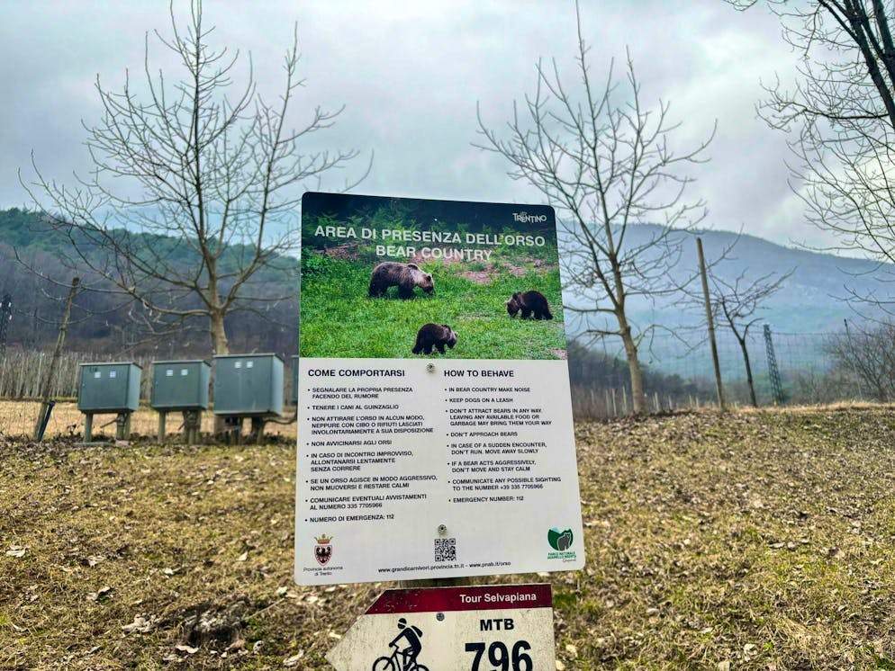 Bears in Trentino: first taken, then shot - Gallery. Signs warn of bears in Trentino.
