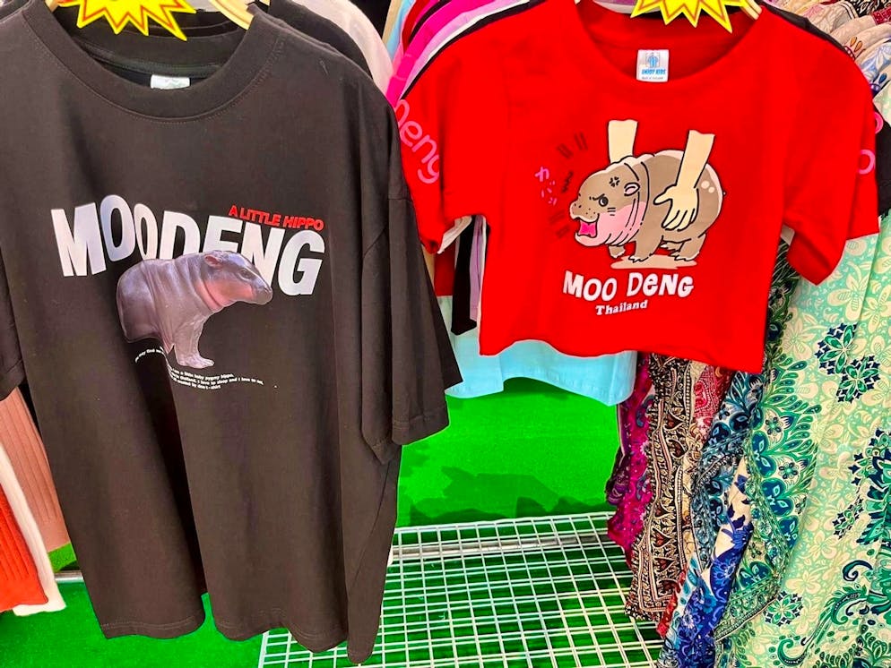 A hippo girl as a box office hit: the Moo Deng phenomenon - Gallery. Moo Deng T-shirts in particular are a real bestseller.