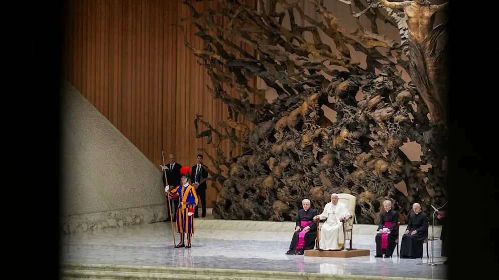 Il Papa durante l'udienza odierna