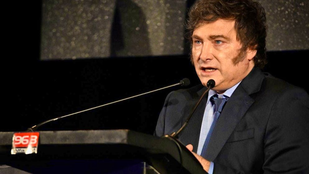 ARCHIVE - Javier Milei, President of Argentina. Photo: Santiago Mazzarovich/dpa