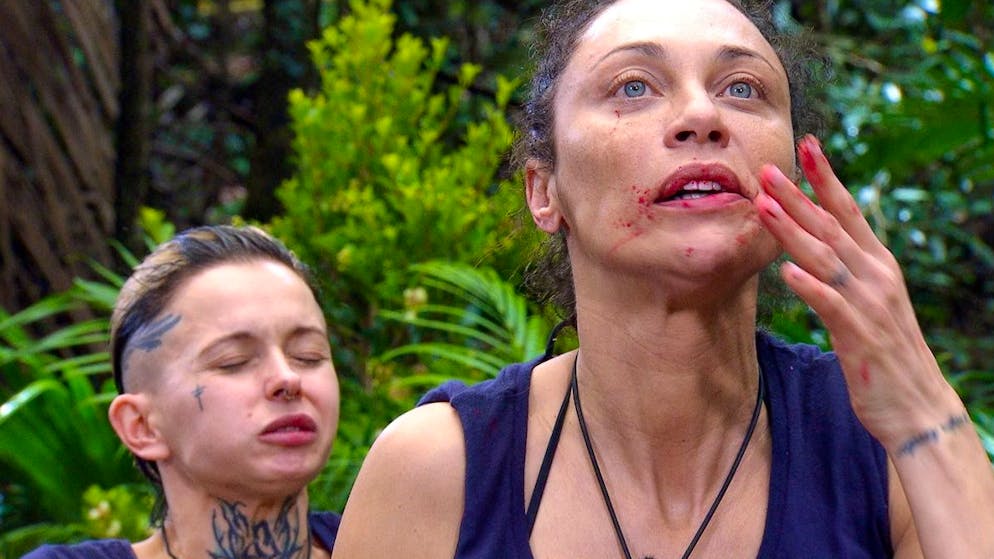 «Nicht viel nachdenken – schlucken». Lilly Becker wagt sich an Ekel-Speisekarte mit Büffelvagina