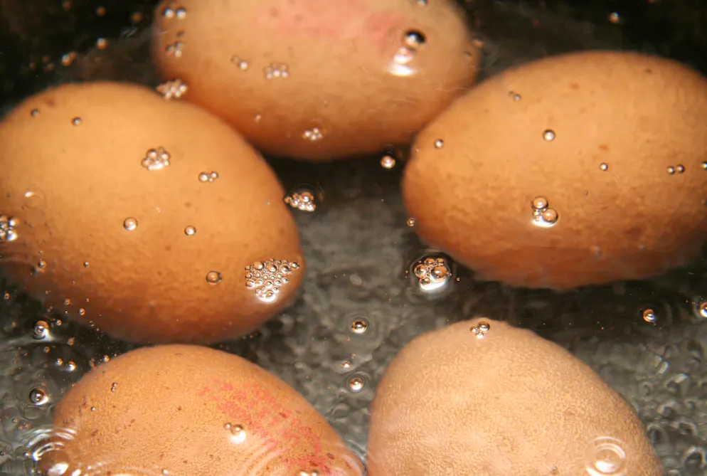 Cuisiner un oeuf est un art délicat car le jaune et le blanc (l'albumen) n'ont pas la même température de cuisson.
