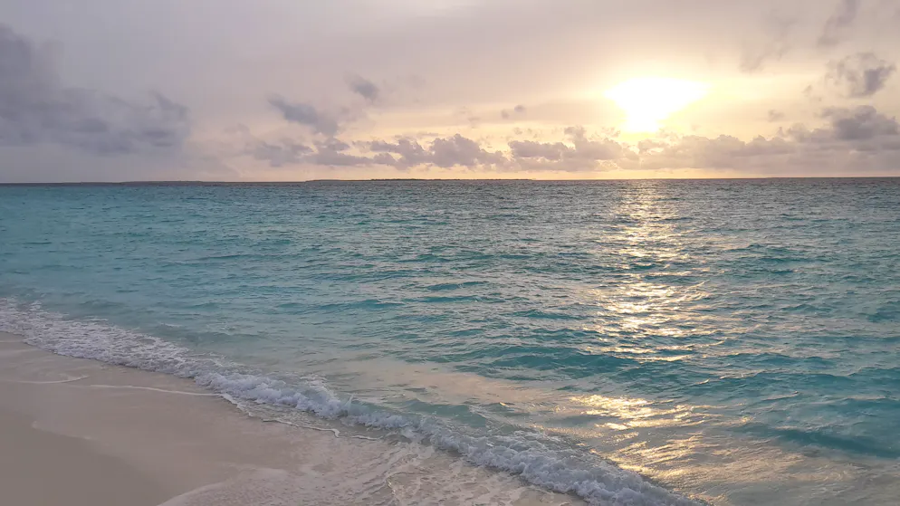 Les Chagossiens luttent depuis cinq décennies pour revoir les îles paradisiaques de l'océan Indien.