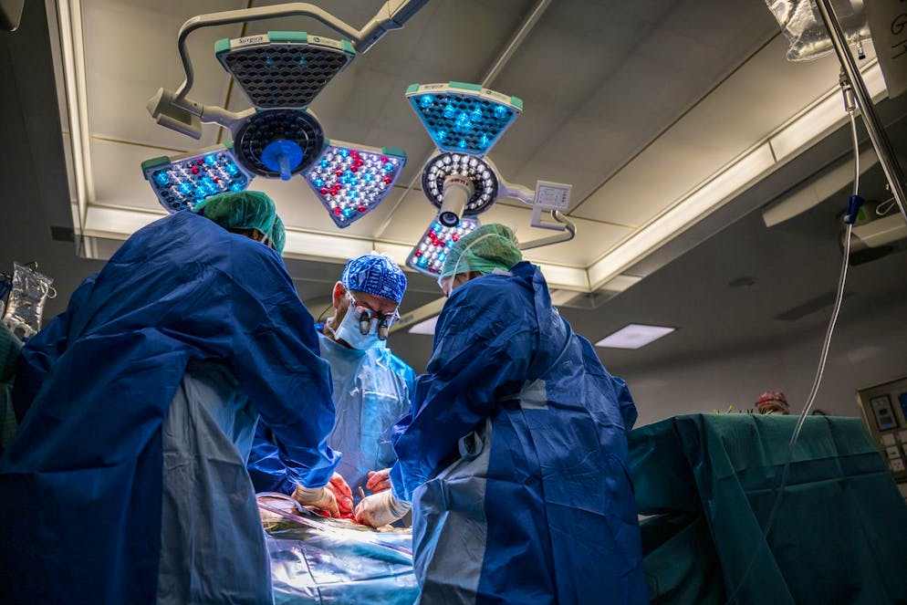 «Un passo in avanti importante», ha commentato Cesare Galli, pioniere italiano delle ricerche sugli animali geneticamente modificati (immagine illustrativa).