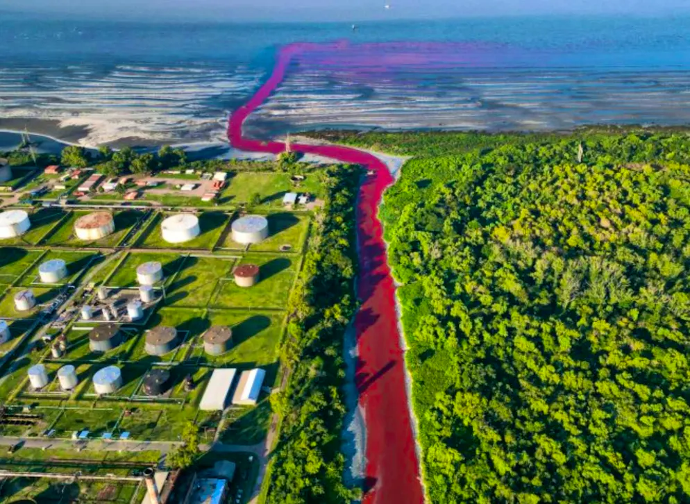 The Sarandí River suddenly turned red this week.