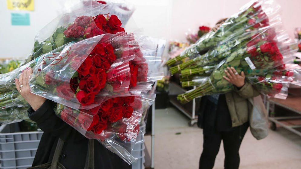 Tanta pressione. A San Valentino i fioristi fanno il pieno di vendite, ma è tutto... rose e fiori?