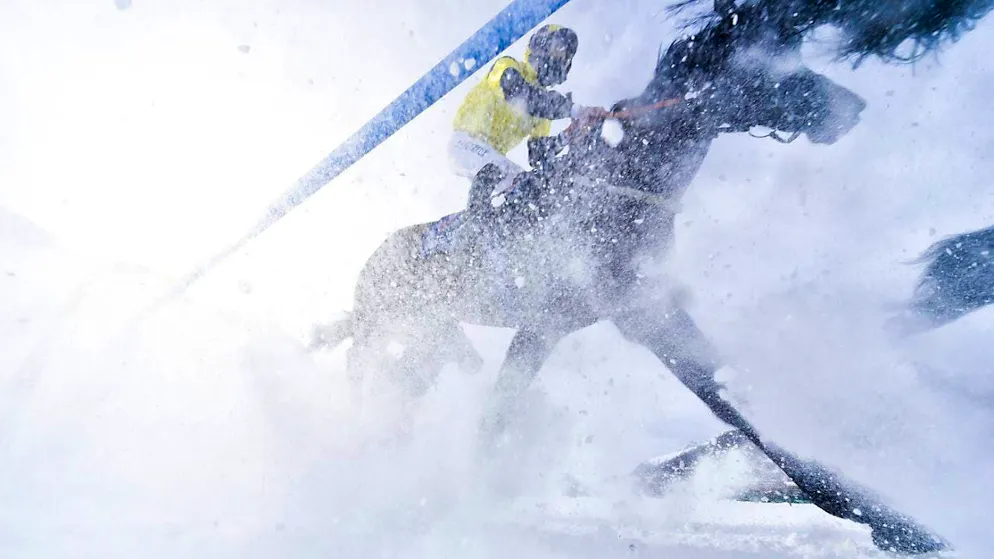 On Lake St. Moritz, the horses will once again cause a sensation on Sunday