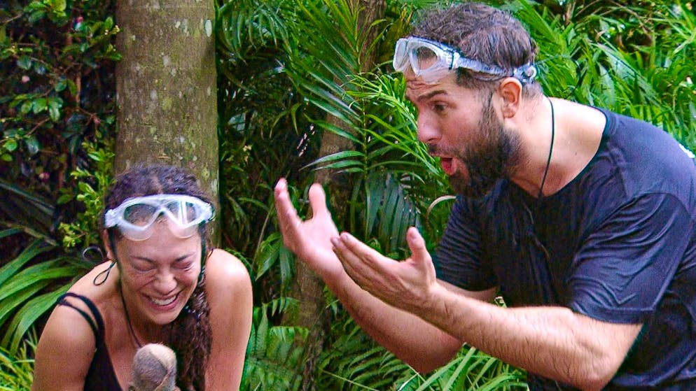 Prüfung endet im Fiasko. So schlecht waren die Dschungelcamp-Kandidaten noch nie