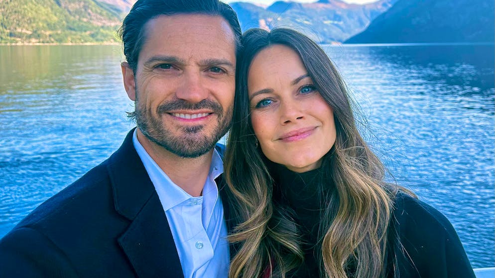 Palace confirms connection. Swedish Princess Sofia met Epstein several times