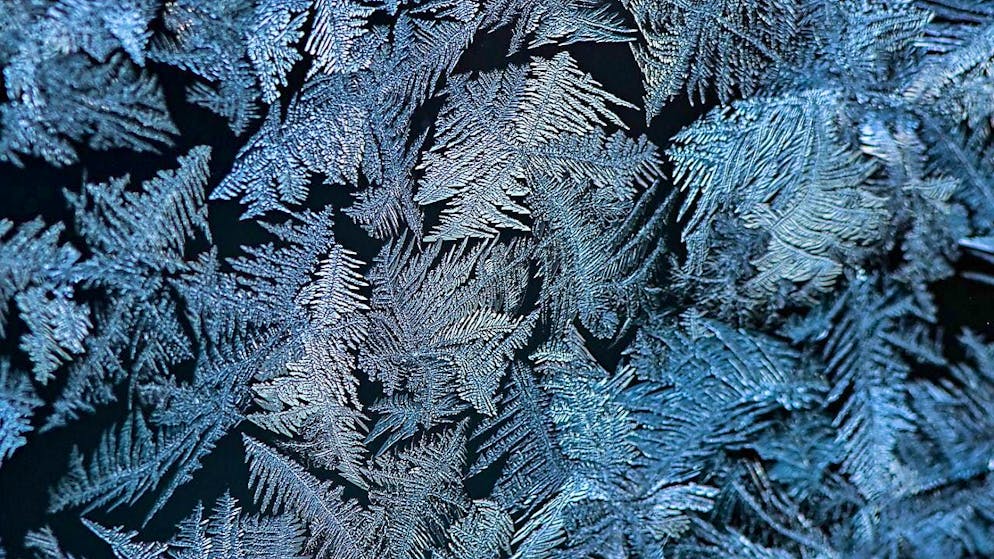 They can still be found on greenhouses and ancient windows in winter: crystalline formations made of ice. (archive picture)