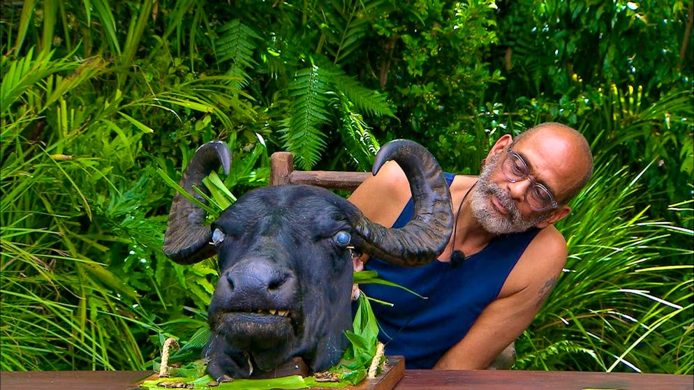 Jungle Camp 2025: The grand finale. Actor Pierre Sanoussi-Bliss ("Der Alte") landed in 2nd place.