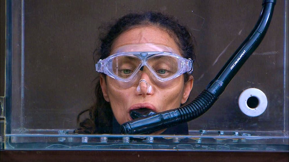 Jungle Camp 2025: The grand finale. Boris Becker's ex-wife Lilly was able to secure victory in the RTL show.