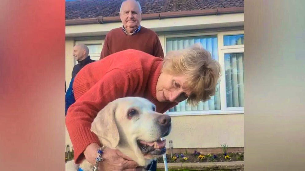 The abducted dog Daisy is back with her owners Rita and Philip Potter. The Potters have never given up hope of finding their dog Daisy.